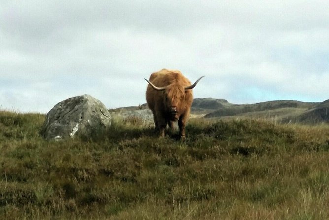 Scottish Highlands Freedom Bike & E- Bike Tour with Transfers - From Edinburgh to the Trossachs