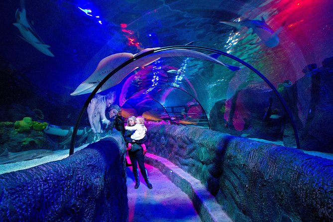 SEA LIFE Loch Lomond General Admission Ticket - Starting with lionfish and scorpionfish