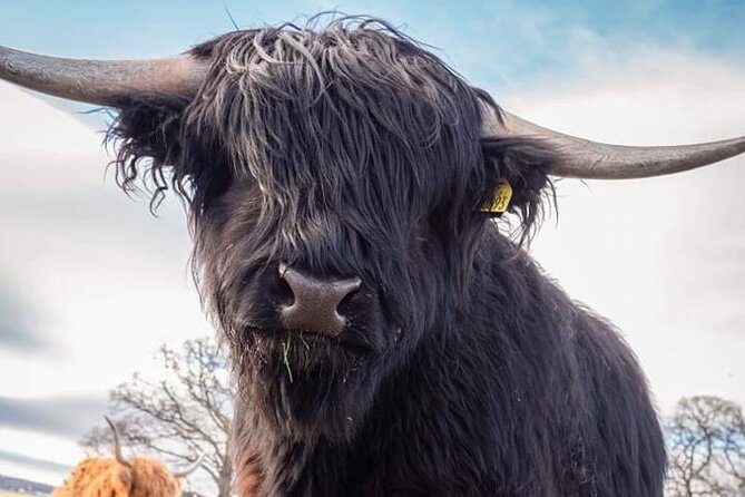 Secret Loch Ness, Inverness Castle visit, Culloden, Clava Cairns - A full Highland sampler from Invergordon