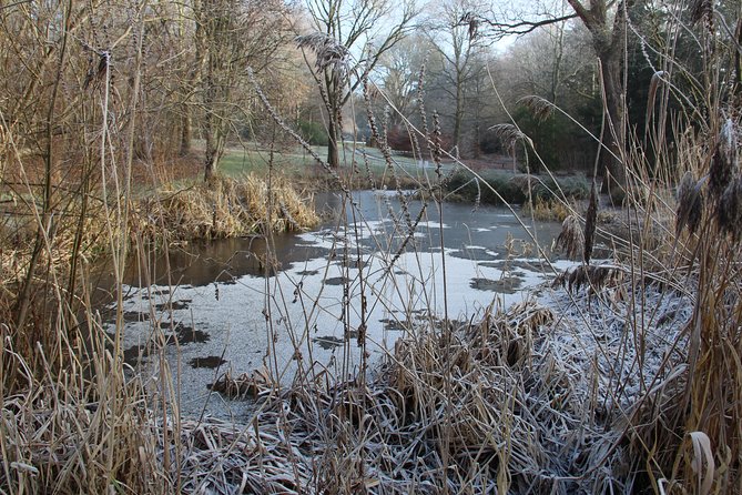 Skip-the-Line: Botanic Garden Entry Ticket - A peaceful corner of Dundee with room to wander