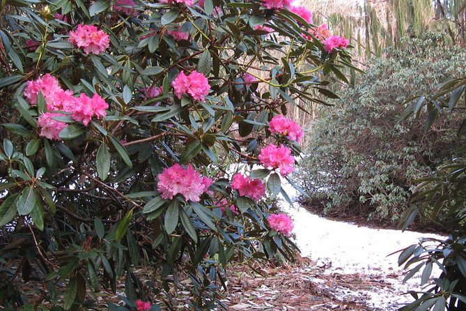 Skip-the-Line: Botanic Garden Entry Ticket - Price, skip-the-line access, and real value