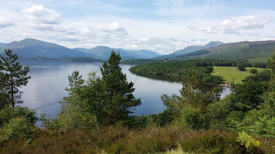 Stirling Castle, Highland Lochs & Whisky Tour from Edinburgh - What the mini-coach changes