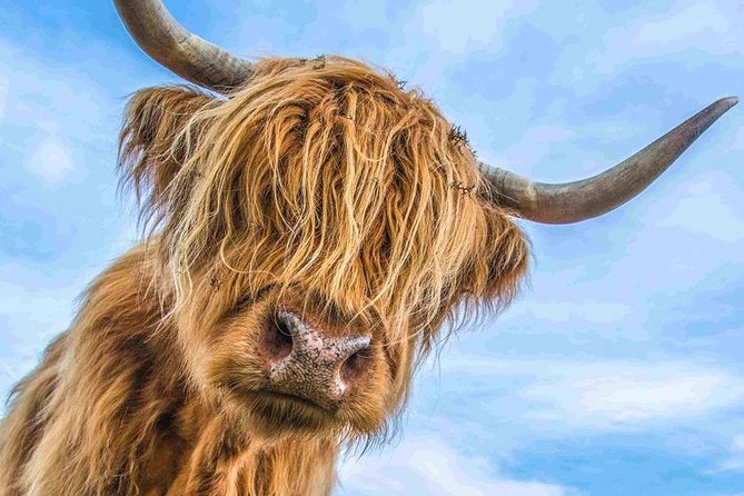 Stirling Castle Loch Lomond and Trossachs National Park day tour - A private Highland day from Edinburgh