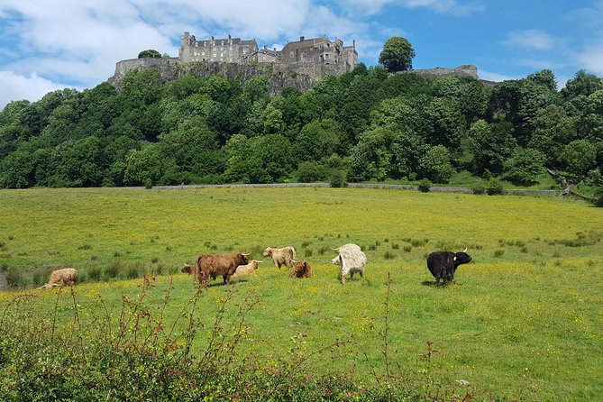 Stirling Castle, Trossachs and Loch Lomond Shore Excursion - An Ceann Mòr and Loch Lomond