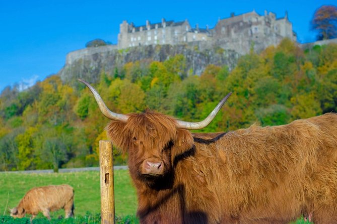 Stirling Castle,Trossachs National and Loch Lomond Day Tour from Edinburgh - Why this Edinburgh day trip works
