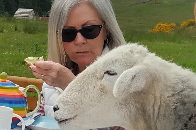Tea with Naughty Sheep - Weather can shape the day