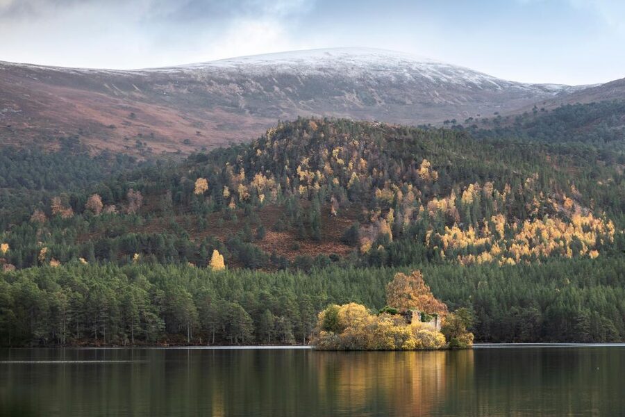 The Cairngorms, Culloden, and Speyside Whisky Tour - Culloden Battlefield and the Jacobite defeat