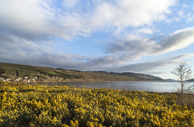 The Complete Loch Ness Experience Small-Group Day Tour from Inverness - The guide can make or break the day